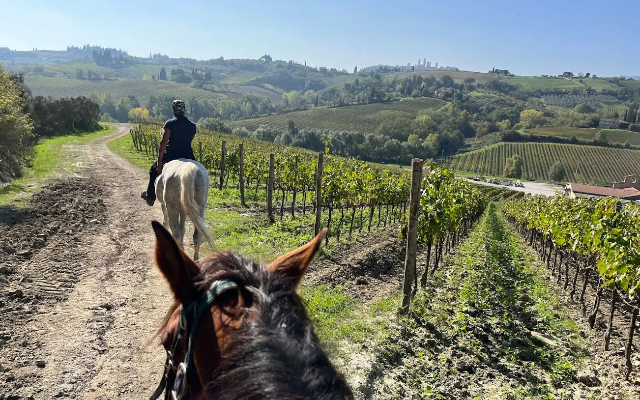 Horseback riding through vineyards in Chianti countryside, Tuscany.