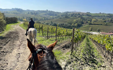 Horseback riding through vineyards in Chianti countryside, Tuscany.