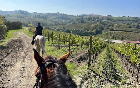 Tuscany Horseback Ride and Winery Tour with Lunch and Wine Tasting in Chianti Countryside