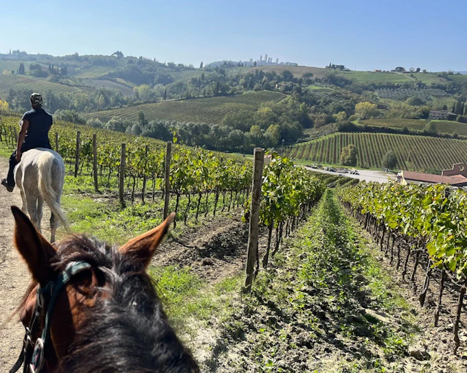 Tuscany Horseback Ride and Winery Tour with Lunch and Wine Tasting in Chianti Countryside