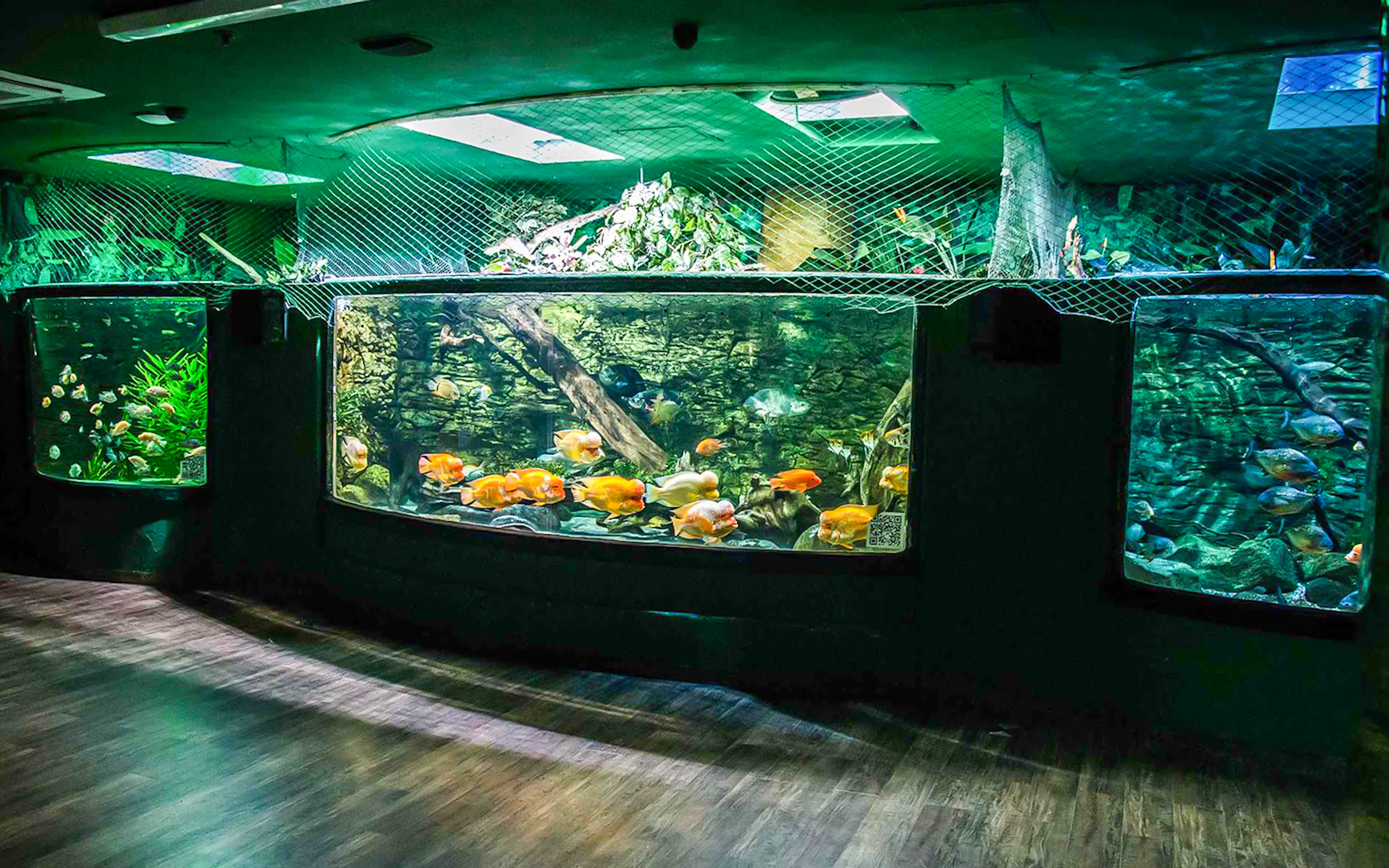 Aquarium tanks with colorful fish at Budapest Tropicarium.