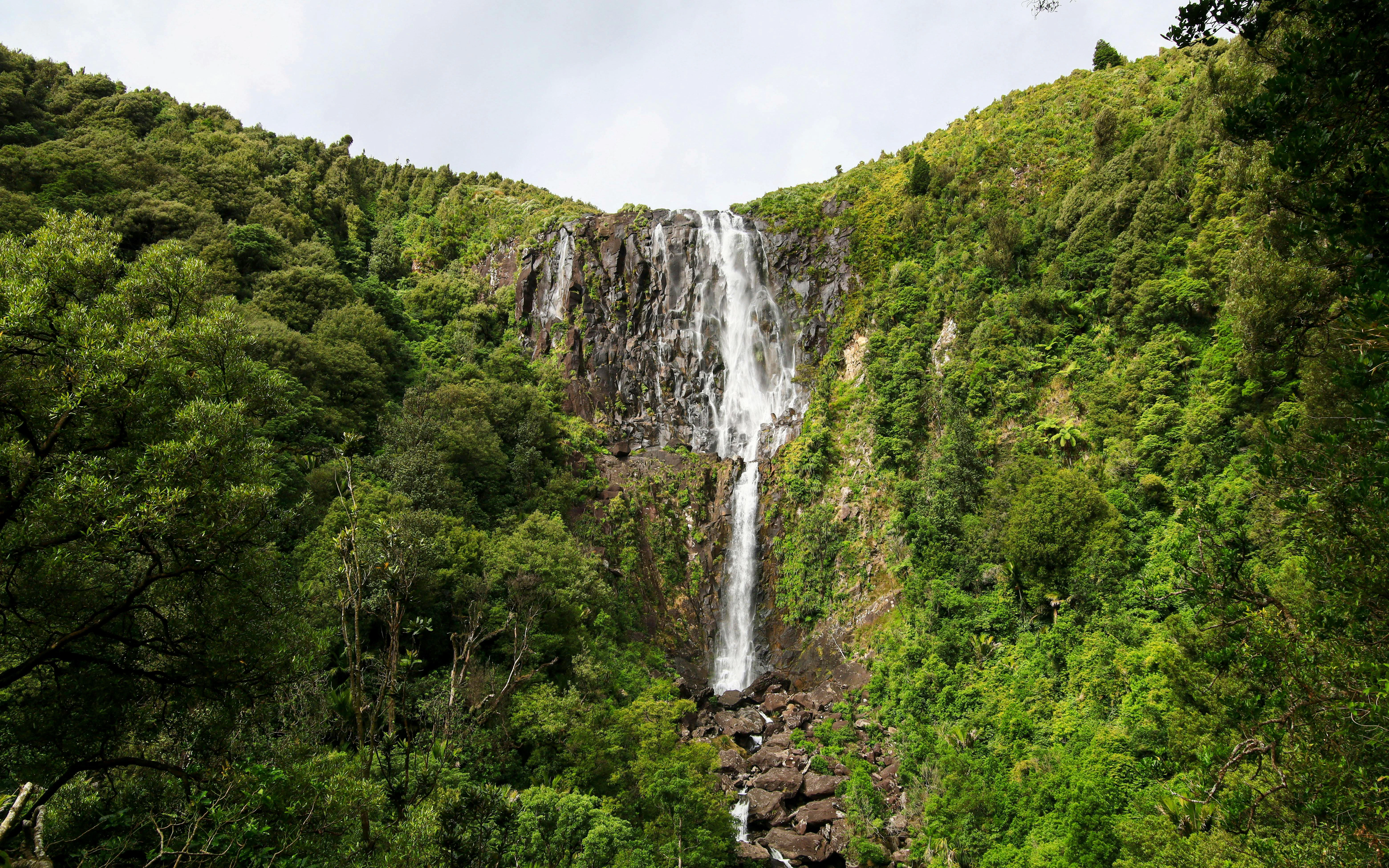 Waterfall cascading down lush green cliffs at Wairere Falls, New Zealand.
