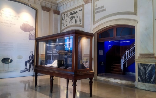 Vasco da Gama Aquarium exhibit with historical marine artifacts and informational displays.