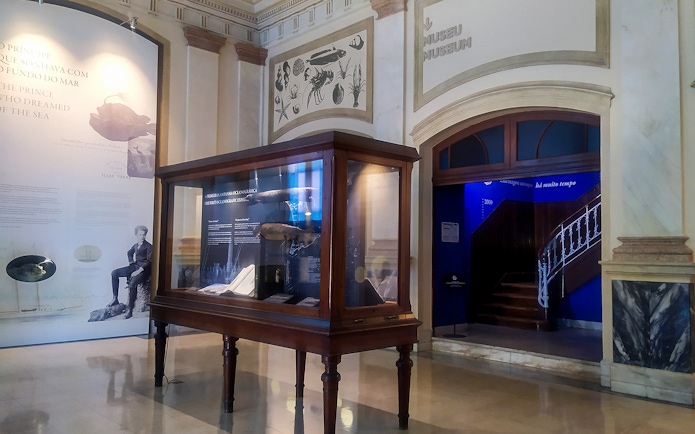 Vasco da Gama Aquarium exhibit with historical marine artifacts and informational displays.