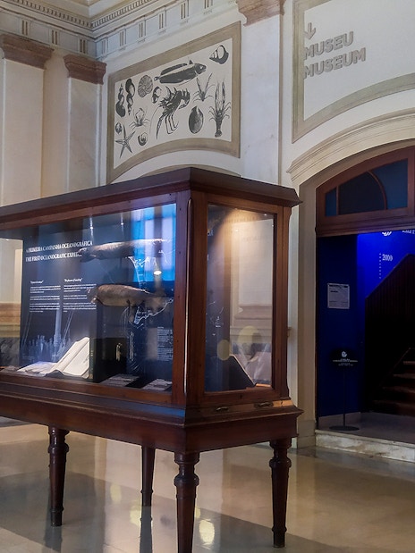 Vasco da Gama Aquarium exhibit with historical marine artifacts and informational displays.