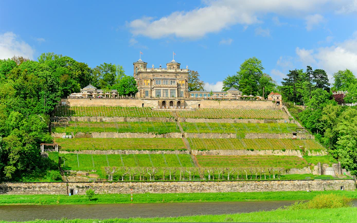 Lingnerschloss Dresden with terraced vineyards and lush greenery.