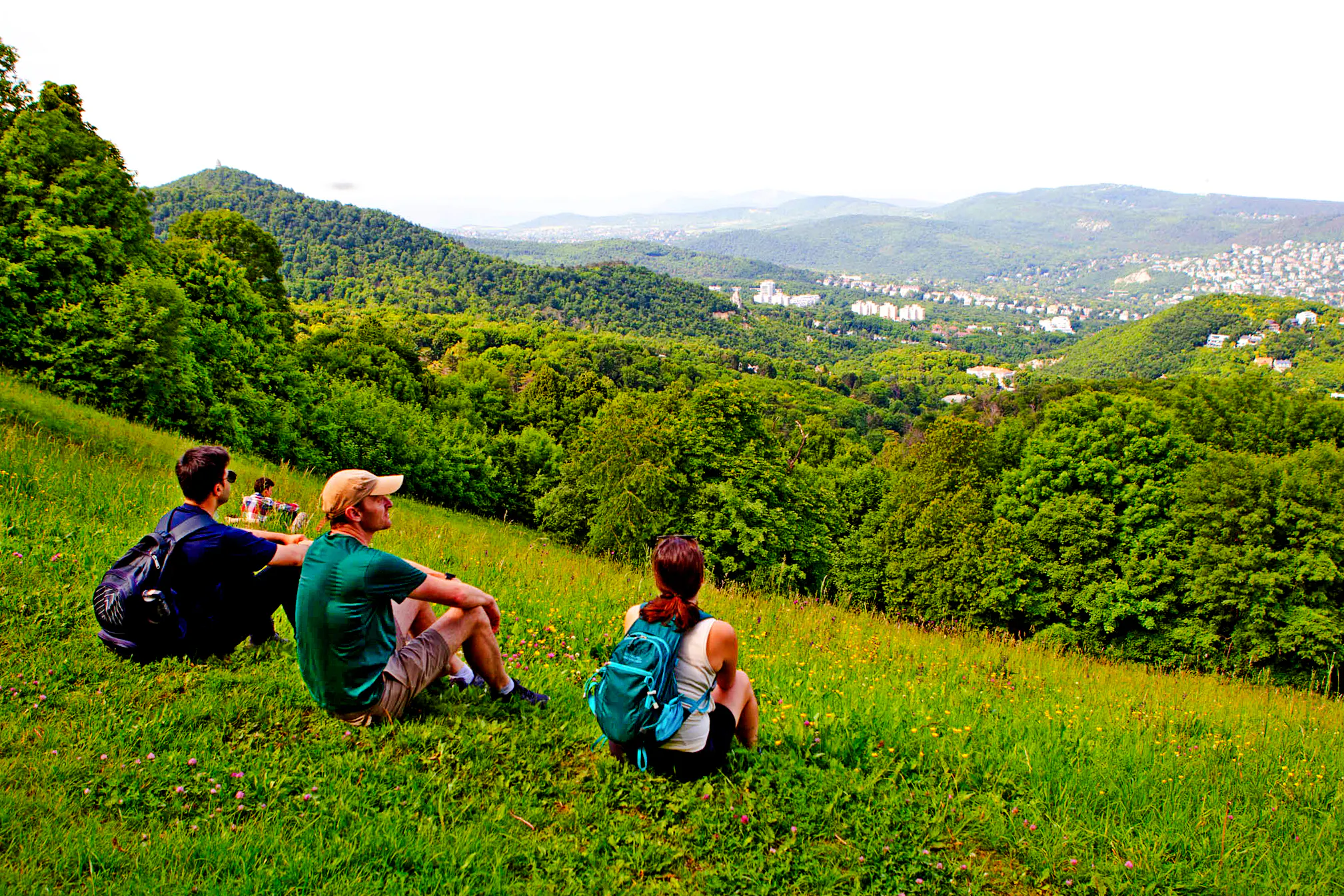 Budapest Buda Hills Guided Hiking Tour Image 10