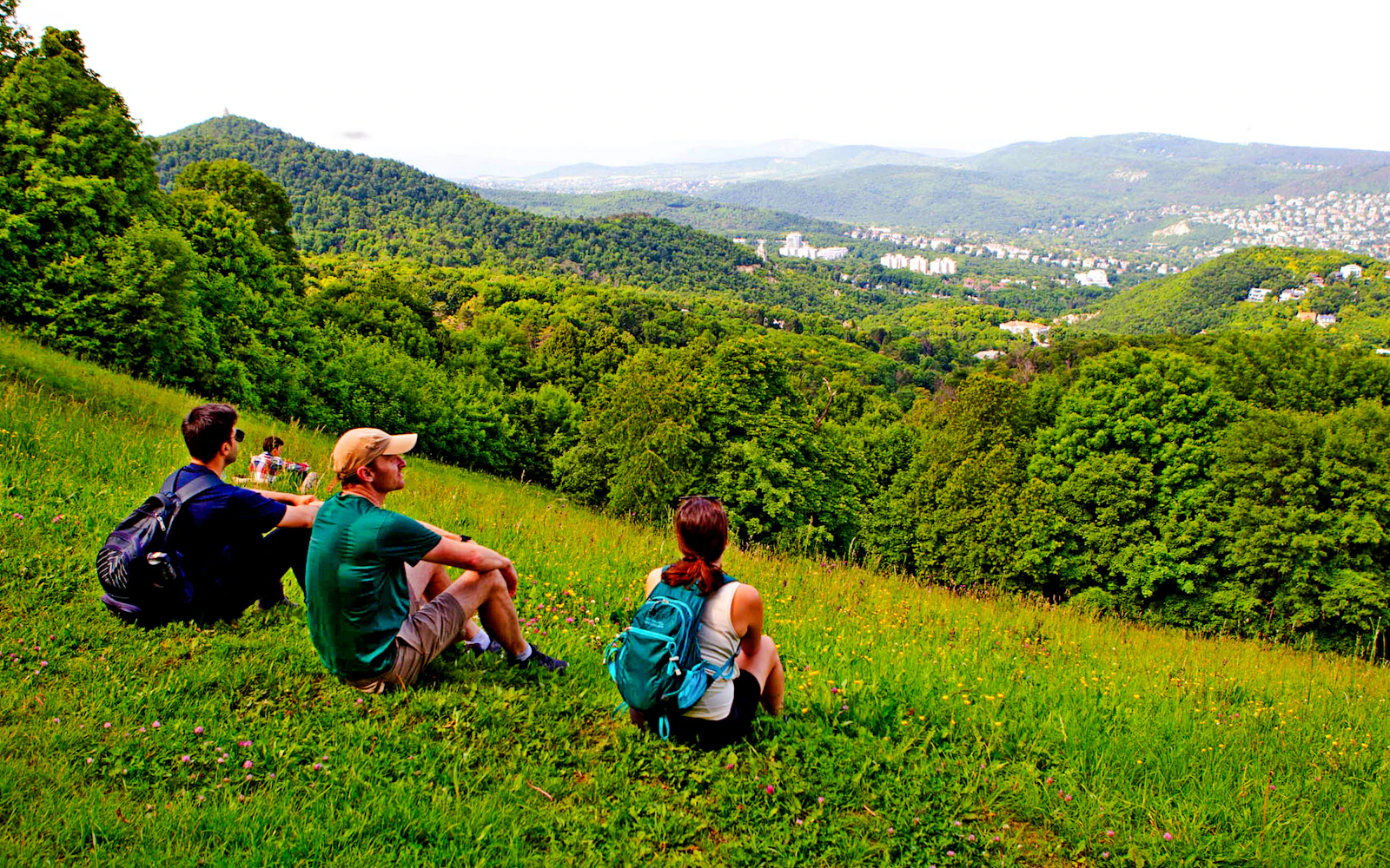 Budapest Buda Hills Guided Hiking Tour Image 10