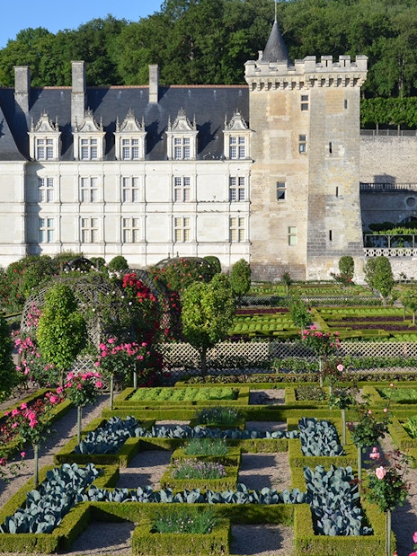 Château of Villandry with formal gardens and topiary in Loire Valley, France.