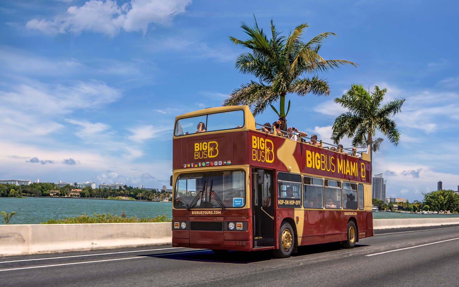 HOHO tour bus, Miami