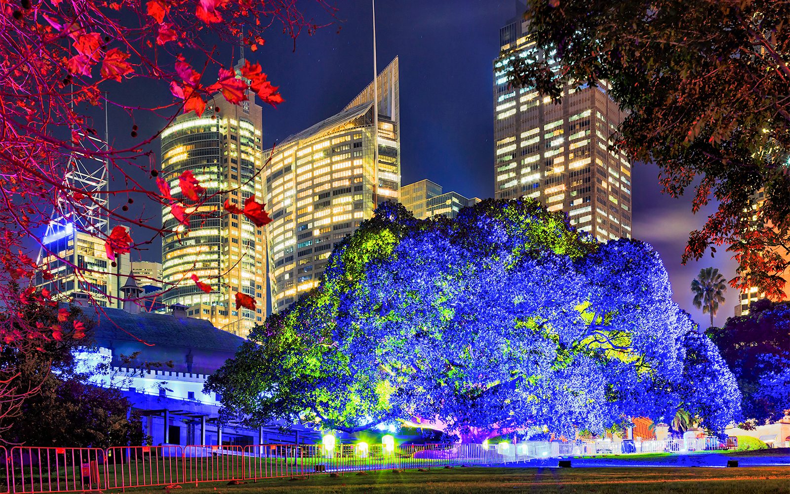 Kew Gardens illuminated with colorful lights during Christmas event.