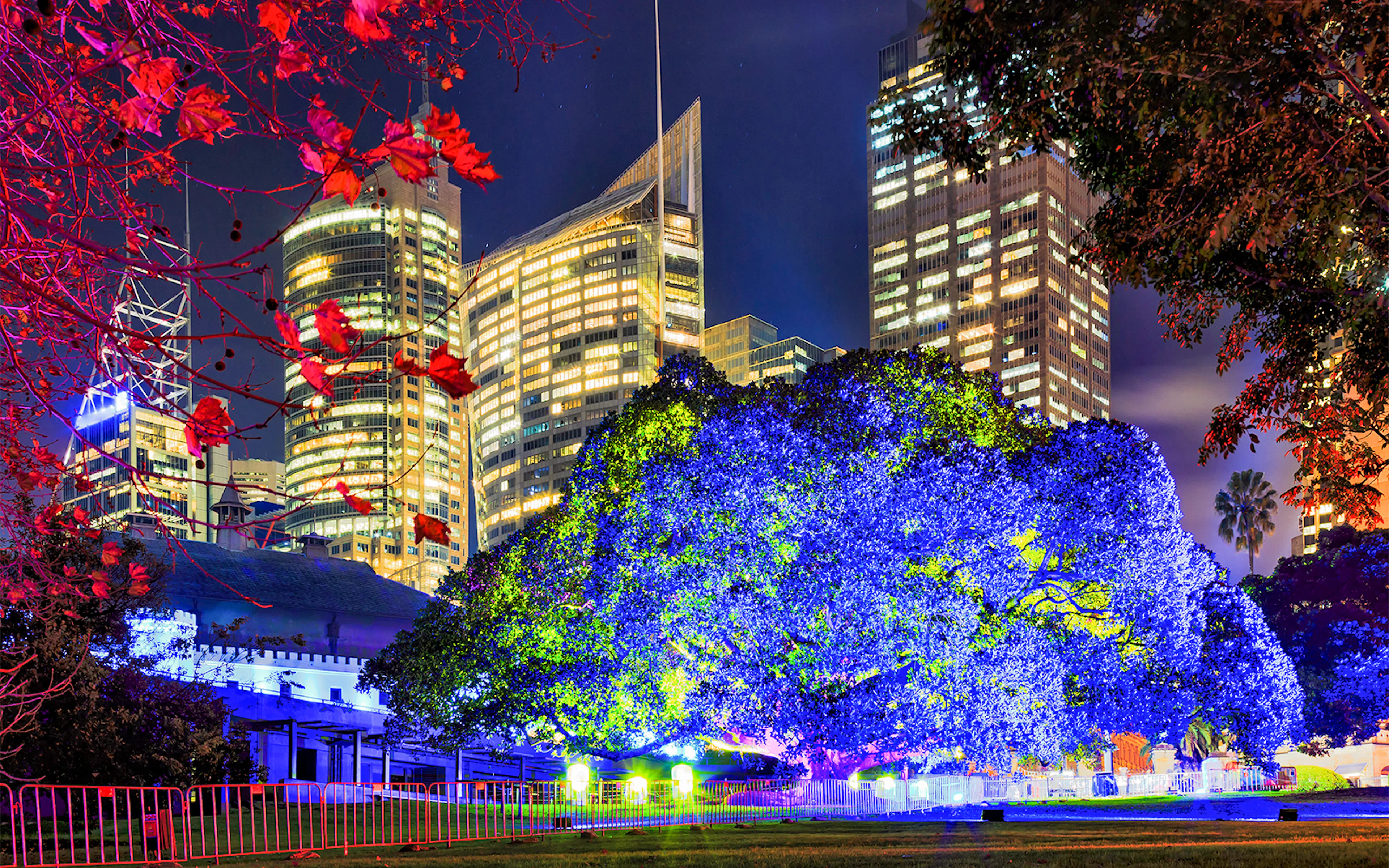 Kew Gardens illuminated with colorful lights during Christmas event.