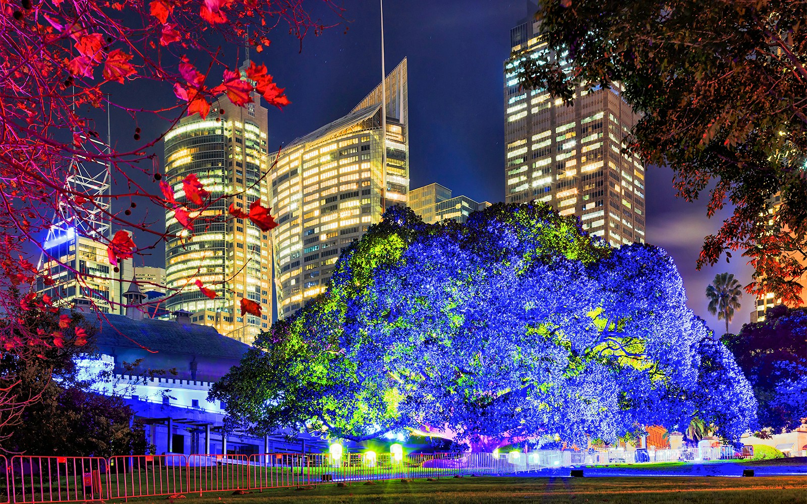 Kew Gardens illuminated with colorful lights during Christmas event.