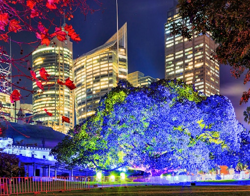 Kew Gardens illuminated with colorful lights during Christmas event.