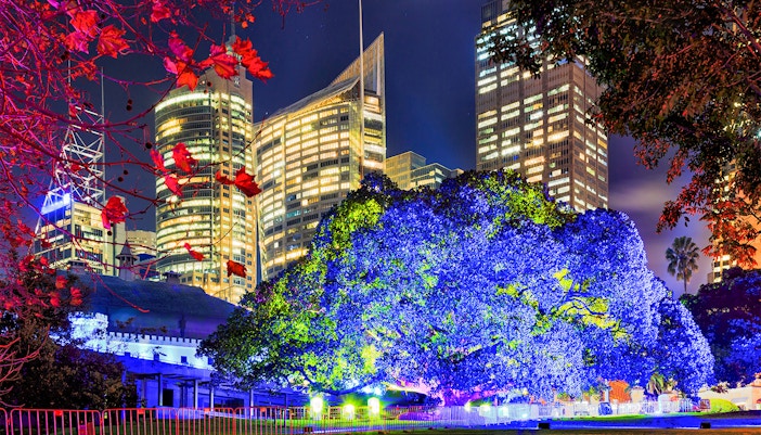Kew Gardens illuminated with colorful lights during Christmas event.