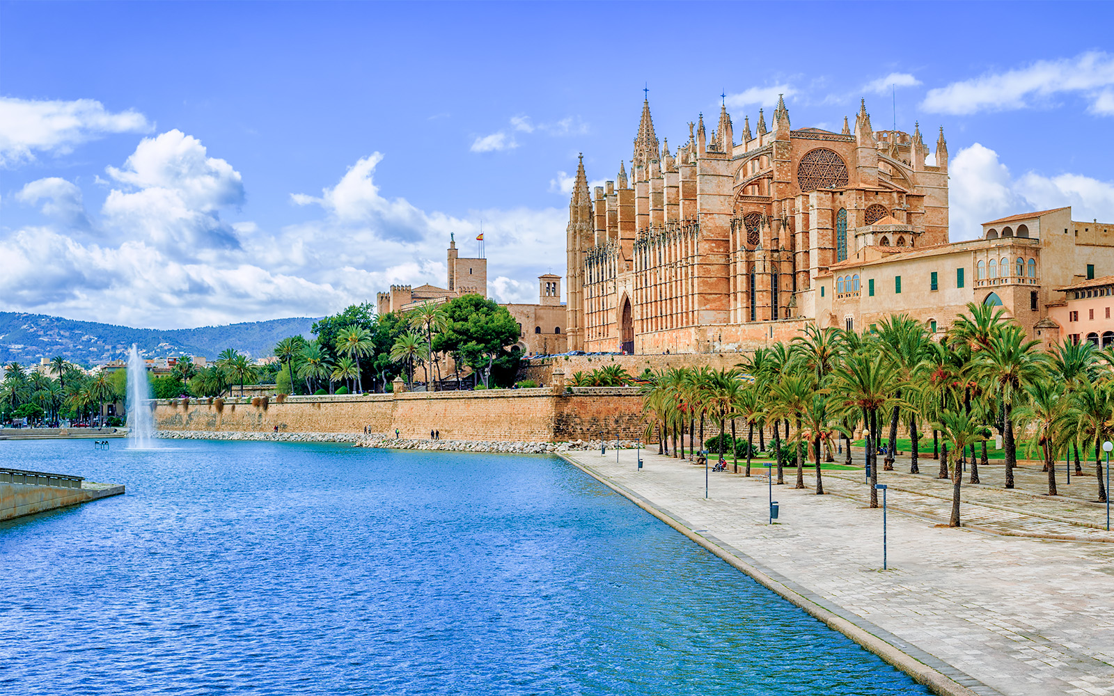 Palma Cathedral aerial view