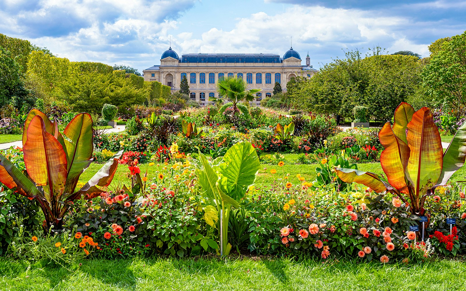 Book Batobus Paris Hop-On Hop-Off | 24 & 48-Hour Pass