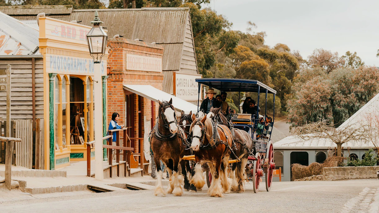 Horse-drawn carriage on street outside Sovereign Hill Museum, showcasing historical buildings.