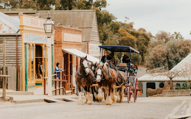 Horse-drawn carriage on street outside Sovereign Hill Museum, showcasing historical buildings.