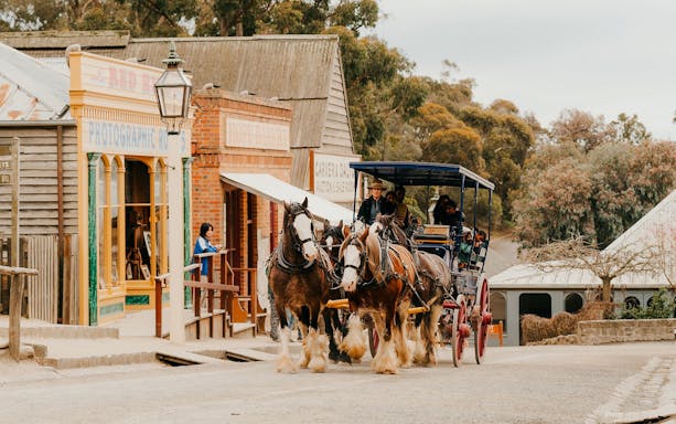 Horse-drawn carriage on street outside Sovereign Hill Museum, showcasing historical buildings.