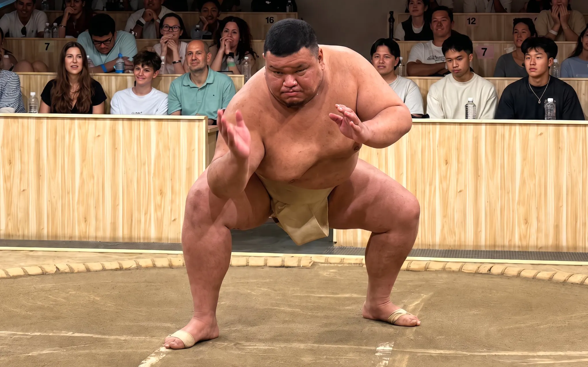  Kyoto Sumo Show with Drinks and Photo