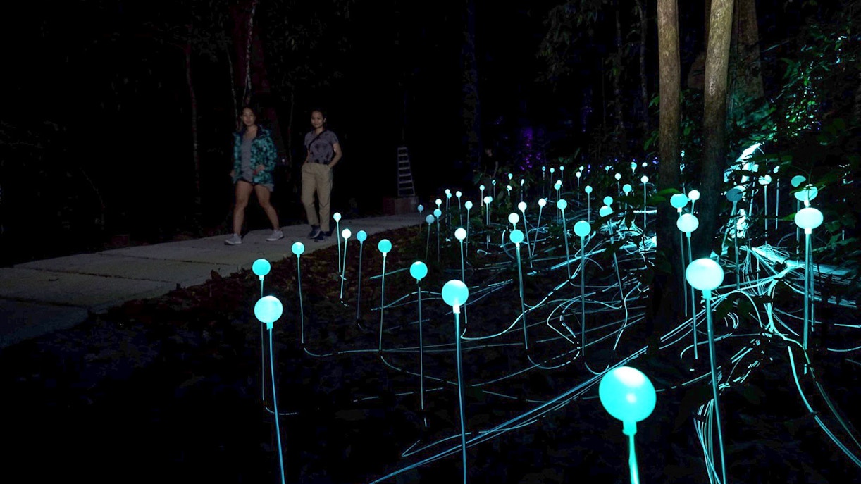 Dream Forest Langkawi Tickets