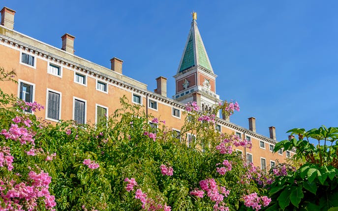 Illy Cafe with view of Royal Gardens and historic building in the background.