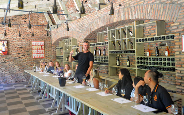 From Tbilisi: Kakheti Wine Region Tour with 9 Wine Tastings