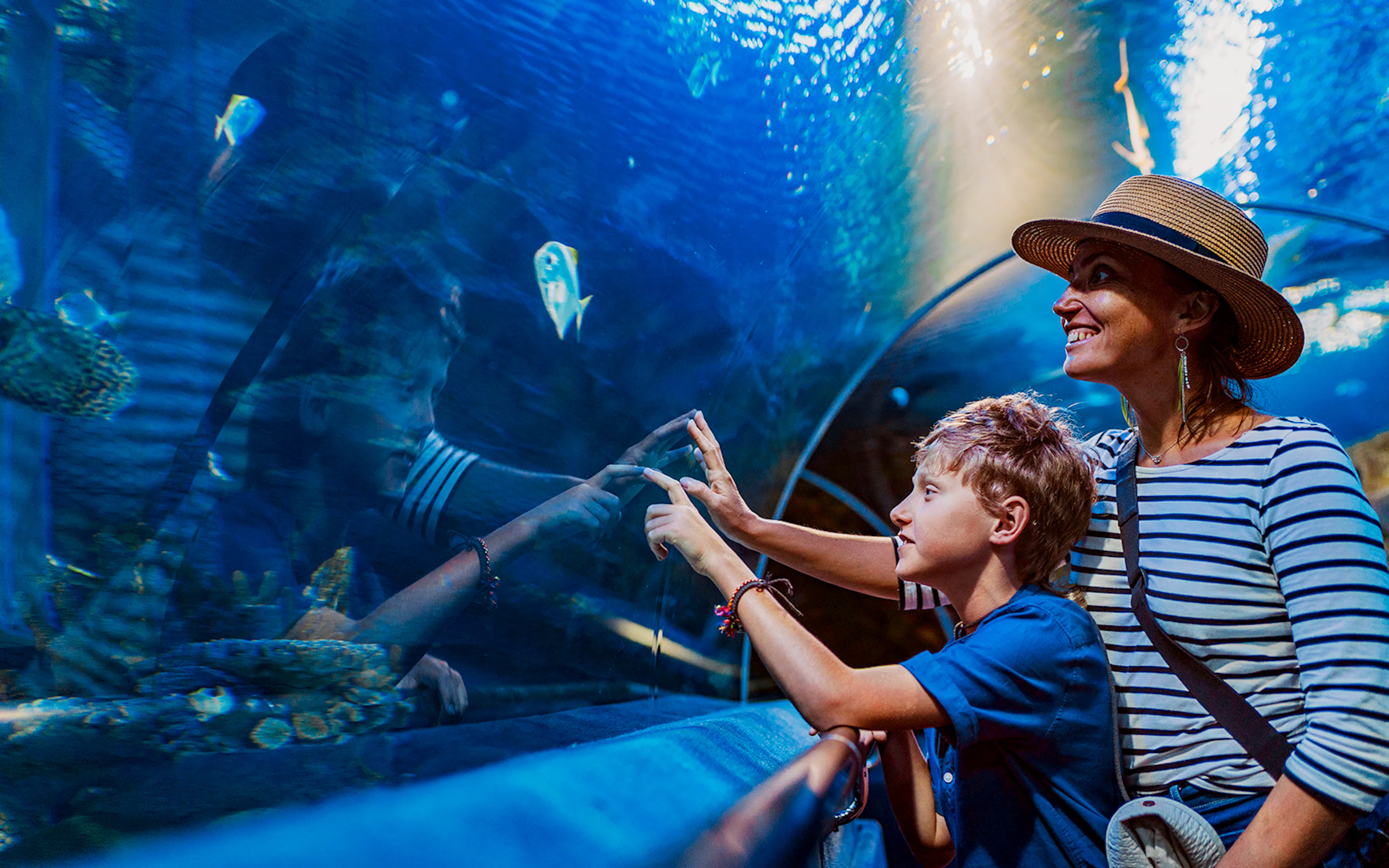 Visitors enjoying marine life at an aquarium tunnel in a city zoo.
