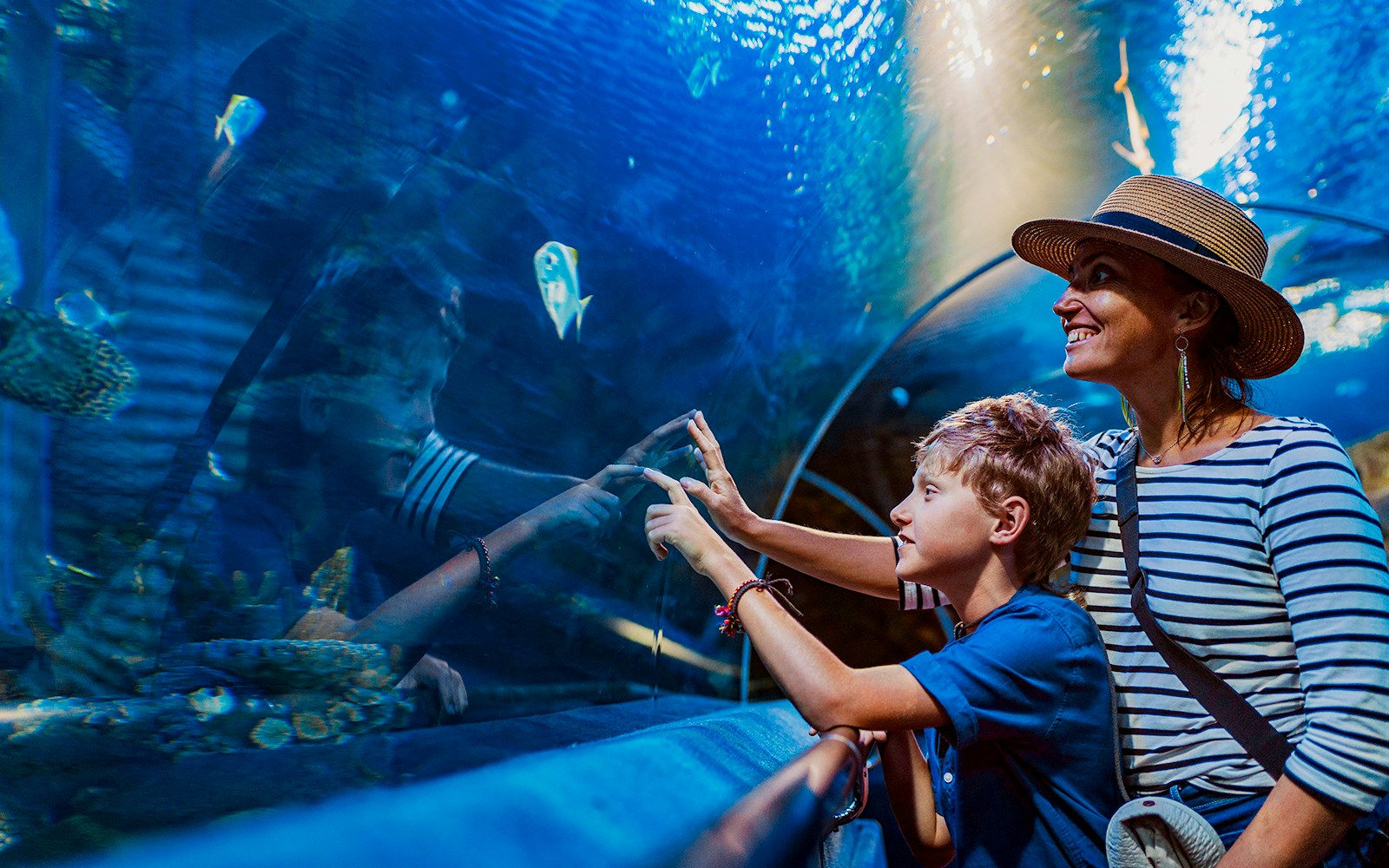 Visitors viewing diverse marine life at a city zoo aquarium.