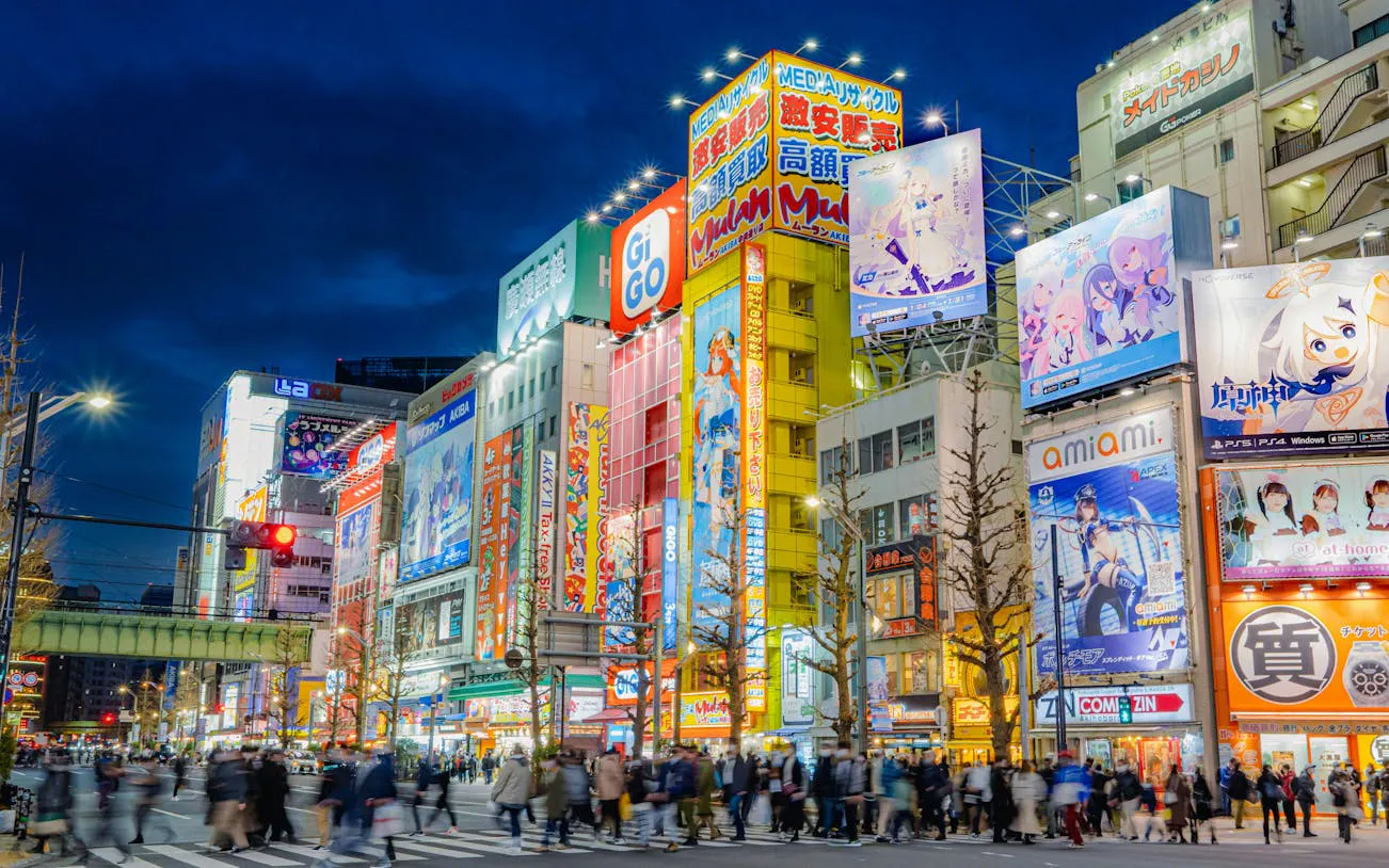 Tokyo Akihabara Anime, Gaming, and Cyberpunk Walking Tour with Local Guide