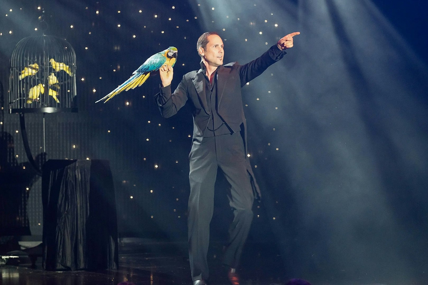 Performer with parrot on stage at V - The Ultimate Variety Show.