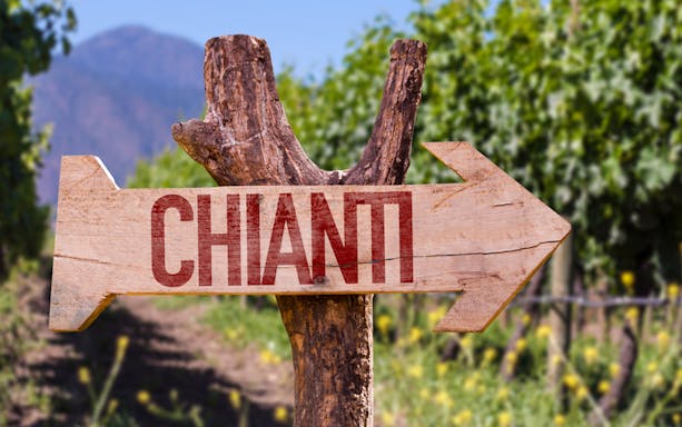 Chianti signpost in vineyard, Florence to Chianti wine region tour.