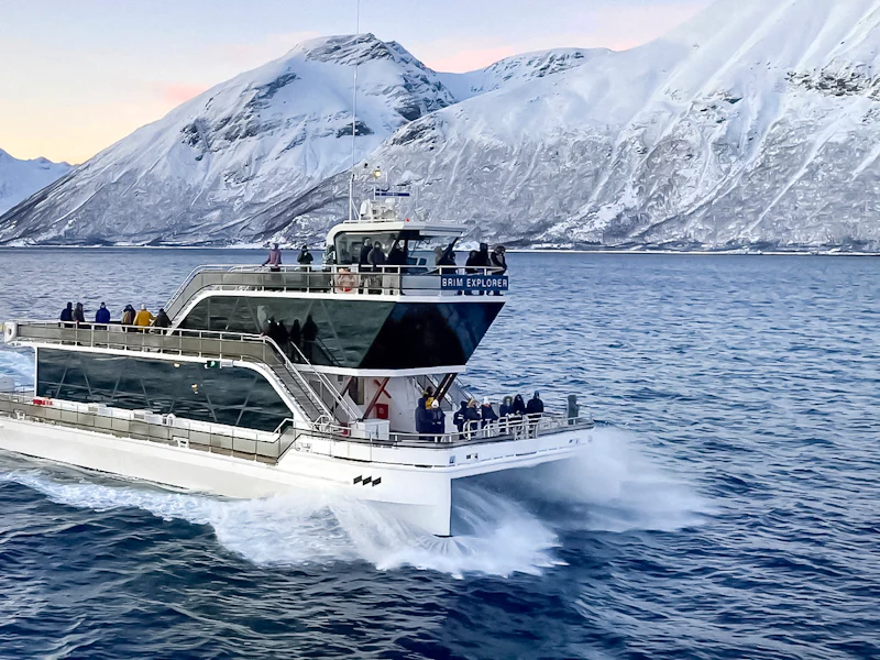 From Tromso Arctic Fjord Cruise Wildlife Tour - Oslo
