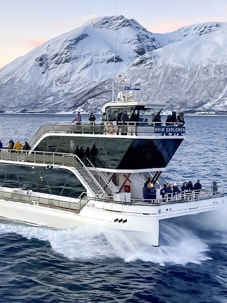 Cruise ship on Arctic fjord near Tromso with snowy mountains in background.