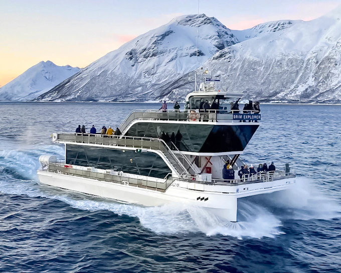 From Tromso: Arctic Fjord Cruise & Wildlife Tour