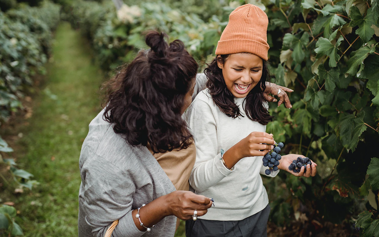 Les saveurs du Chianti : saveurs de la campagne, visite de vignobles et dégustations — 2