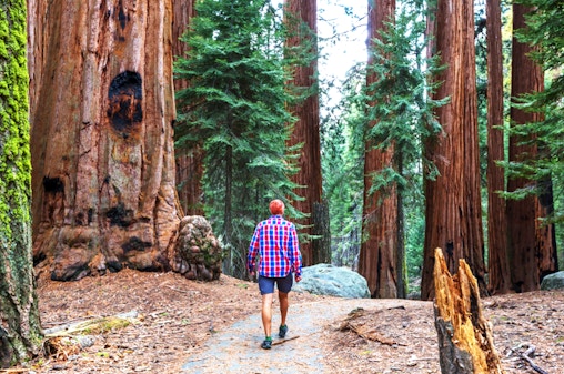 From San Francisco: Alcatraz, Muir Woods, & Sausalito Day Trip