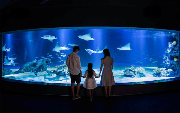 Family viewing marine life at Aqua Planet 63, Seoul.