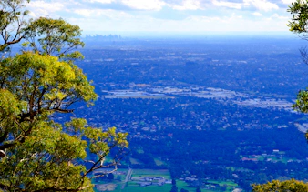 fra melbourne: liten gruppetur til mt dandenong-5