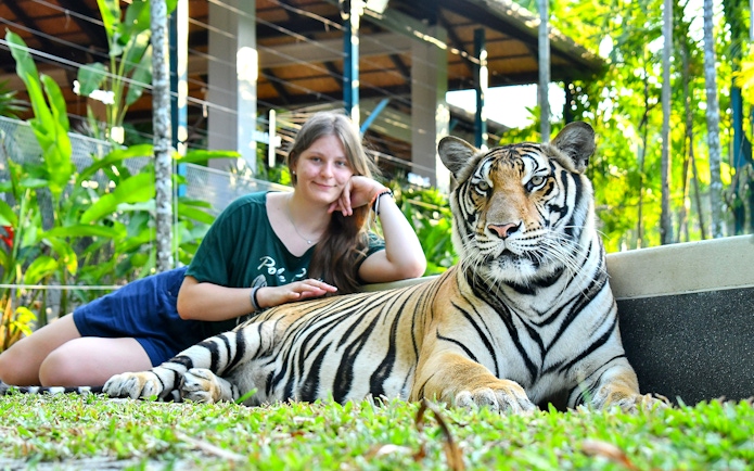 Person interacting with a tiger at Tiger Park, surrounded by lush greenery.