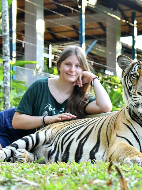 Person interacting with a tiger at Tiger Park, surrounded by lush greenery.