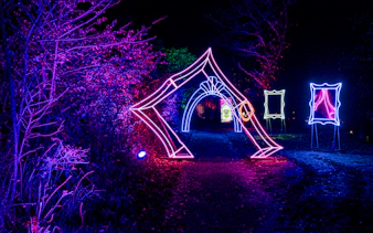 Neon light installations at Lumina Park Wonderworld pathway.