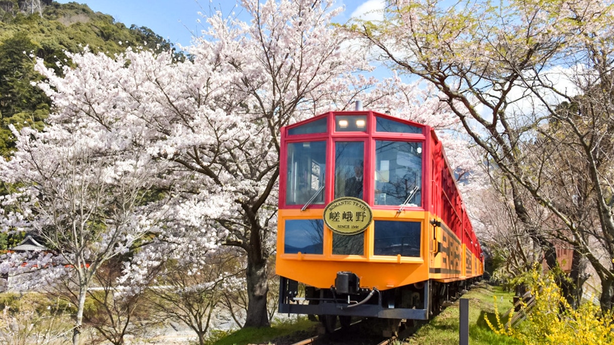 Guide to Visiting the Sagano Romantic Train in Kyoto