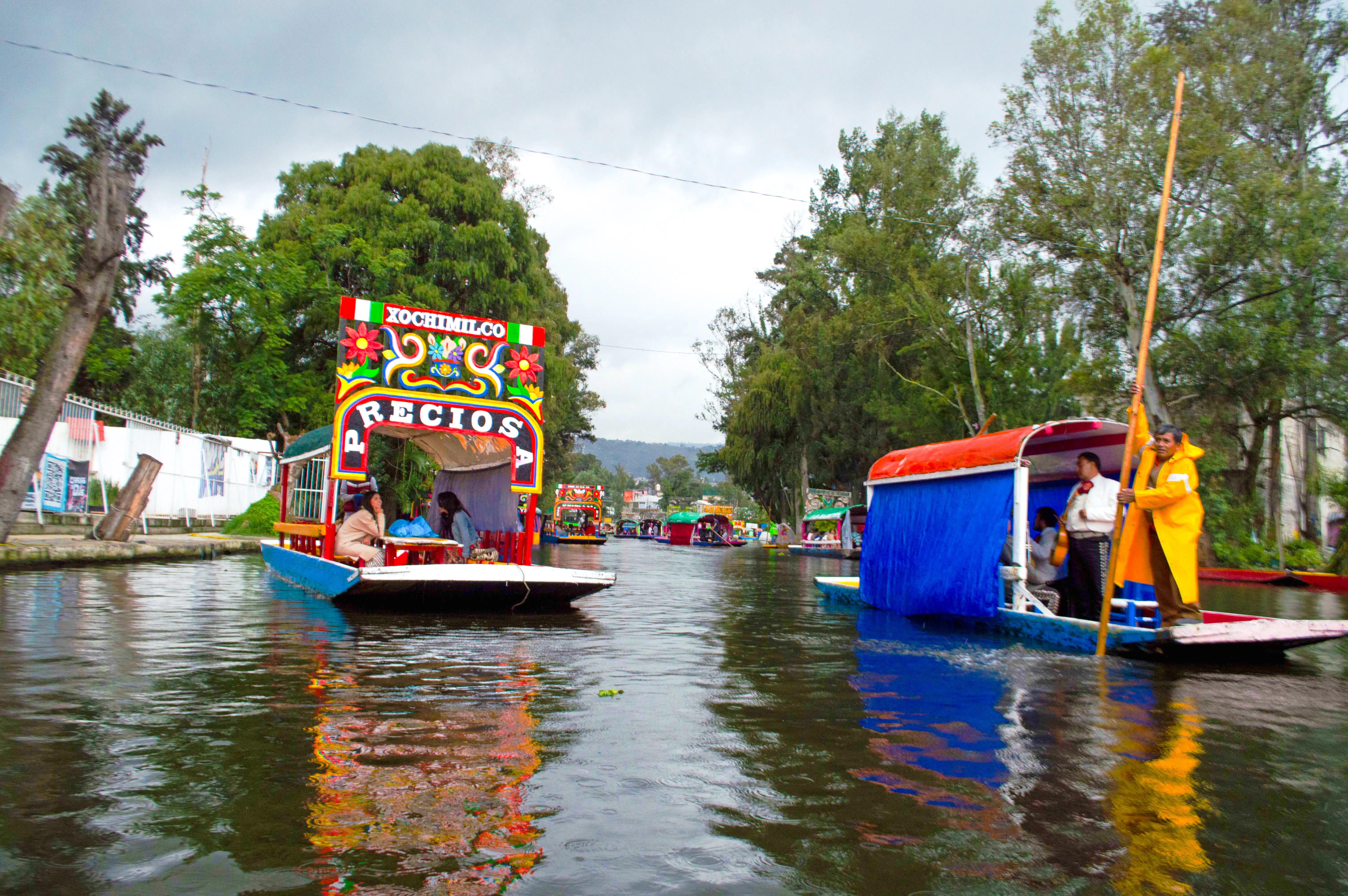 Xochimilco, Coyoacán & UNAM Guided Tour with Trajinera Ride Image 4