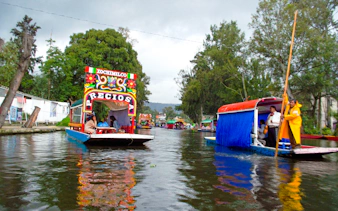 tour guidato di xochimilco, coyoacán e unam con giro in trajinera-4