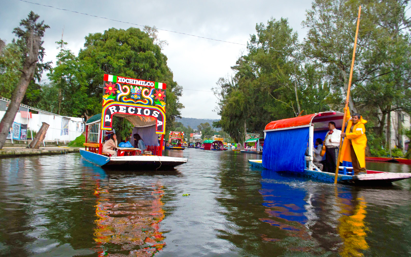 Xochimilco, Coyoacán & UNAM Guided Tour with Trajinera Ride Image 4