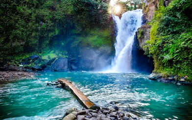 Privat guidet tur i Ubud: Ape-skogen, Tegenungan-fossen, Tegalalang-risterrassene, Goa Gajah