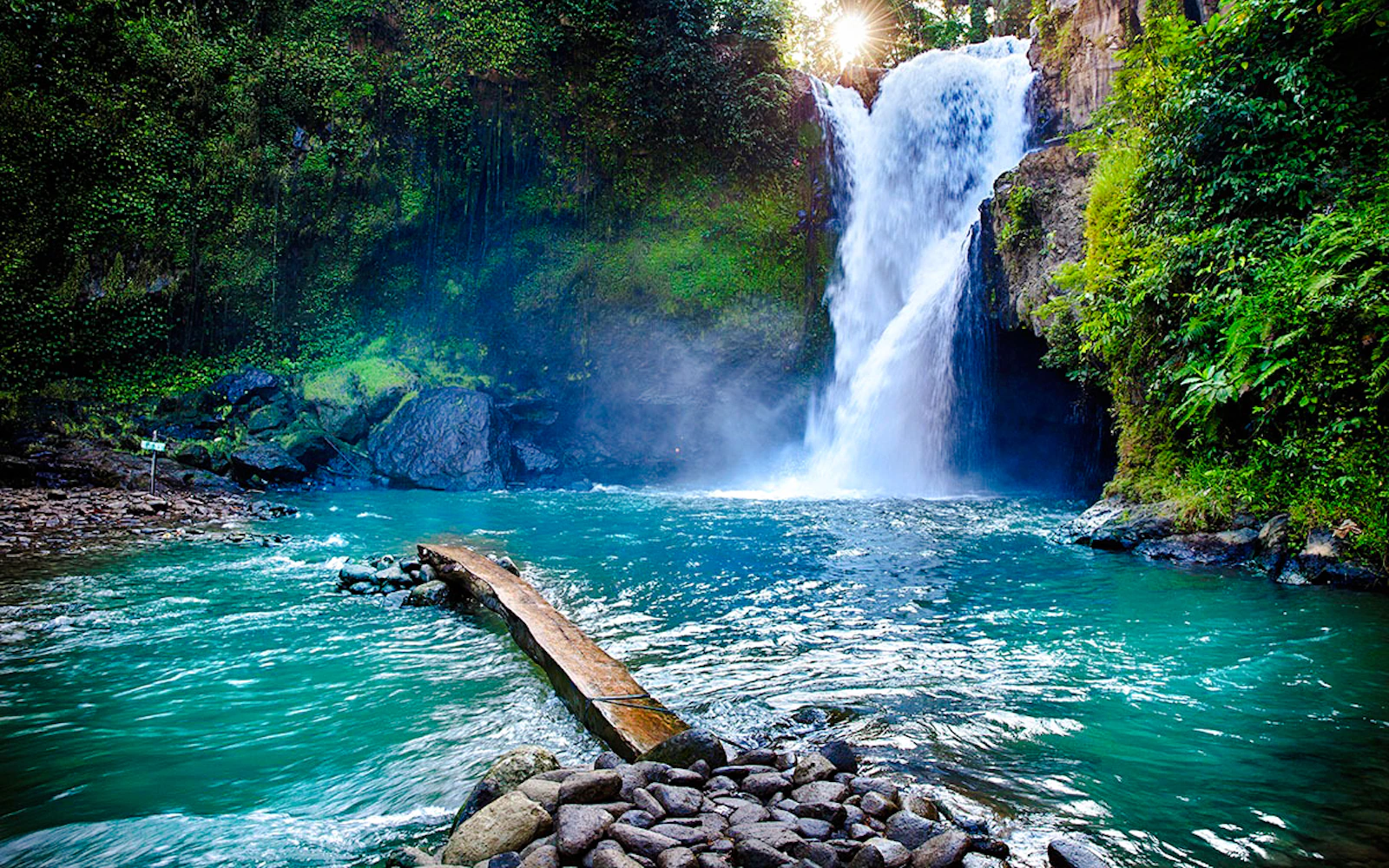 Ubud Private Guided Tour: Monkey Forest, Tegenungan Waterfall, Tegalalang Rice Terraces, Goa Gajah (Product 54344)