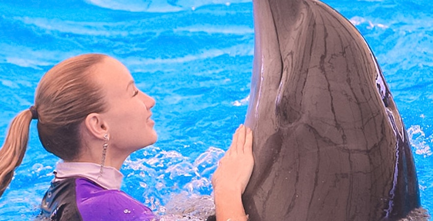 Dolphinarium Pattaya